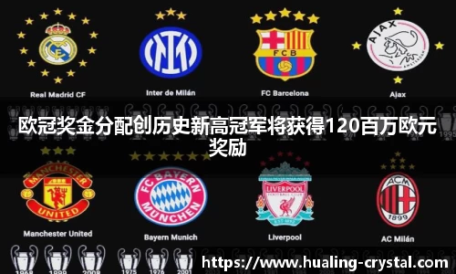 欧冠奖金分配创历史新高冠军将获得120百万欧元奖励